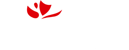 Mondress Lingerie